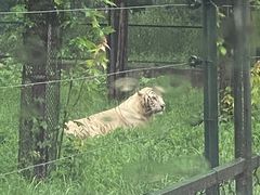 -秦皇岛野生动物园