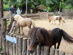 -泉州海丝野生动物世界