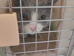 -心仪动物医院·牙专科·肿瘤·心脏科(西客站院)