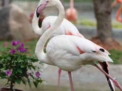 -灵玲国际马戏城