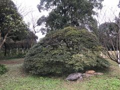 -南山植物园