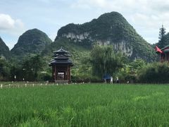 -靖西鹅泉风景区