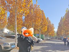 -颐和园西门停车场