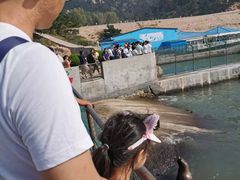 景点-西霞口神雕山野生动物世界