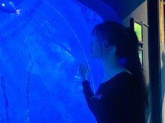 -江和美海洋公园