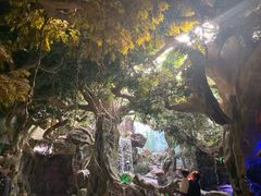 -多彩贵州城极地海洋世界