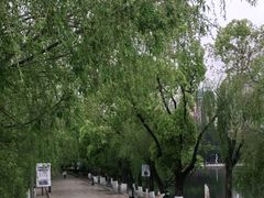 -翠湖公园