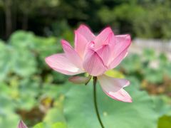 -韶关经律论国际酒店温泉