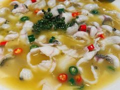 -青花椒花椒鱼(合生汇店)