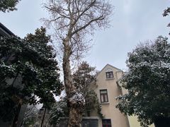-颐和路民国时期公馆风貌区