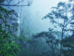 -秦岭天竺山景区