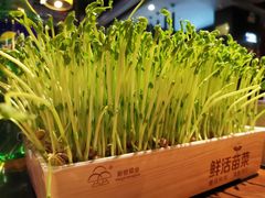 -捞神煲汤火锅(湖滨商业街店)