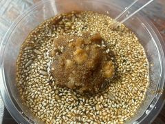 -王万妈卤猪脚(青岩交通路)