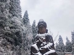-武陵山森林公园