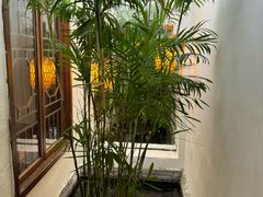 -小江南(老洋桥店)