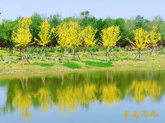-东郊湿地公园