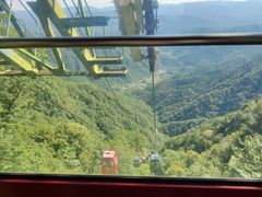 -王顺山国家森林公园
