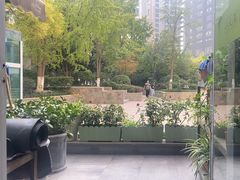 -东哥紫阳蒸盆子(旺座·现代城店)