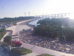 -宝安西湾红树林湿地公园