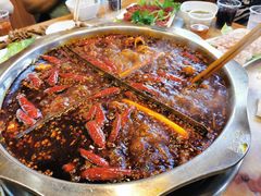 -枇杷园食为鲜火锅(南山店)