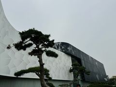 -罗红摄影艺术馆