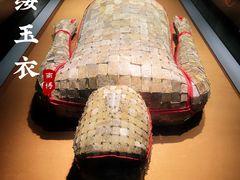 -南京博物院