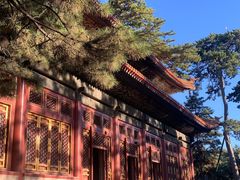 -普乐寺
