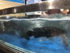 -盒马鲜生(杭州运河上街店)