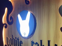 -白兔子密室(长寿路店)