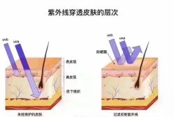 -S庆熙美学皮肤管理