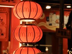-越秀西湖花市(广州城市广场花卉店)