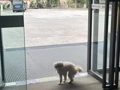 -西姆山居酒店(九寨沟沟口店)