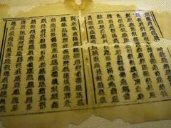 西夏文经书-敦煌石窟文物保护研究陈列中心