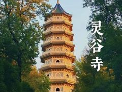 -灵谷景区