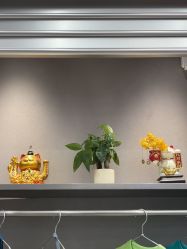 -跳动全城舞蹈