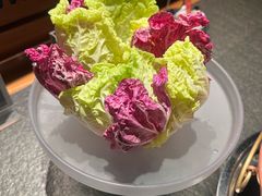 -老墙根涮肉·铜锅·烧烤(欢乐谷·王四营店)