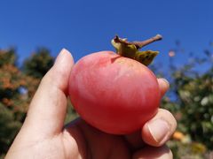 -青州市云门山风景区