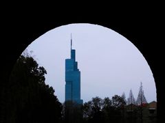 -紫峰大厦