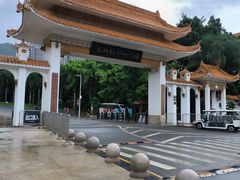 -深圳仙湖植物园