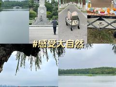-东湖听涛景区