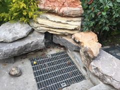 -昆山城市生态森林公园