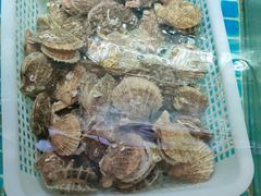 -汤品小厨·海鲜·烧烤·家常菜
