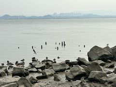 -深圳湾公园(南山区)