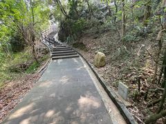-羚羊峡古栈道森林公园