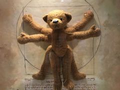 -济州岛泰迪熊博物馆