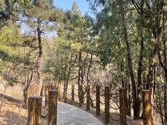-白水寺森林公园