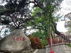 -崂山仰口游览区