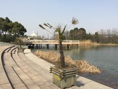 -新江湾城公园