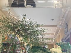 -萤火虫咖啡(后海店)