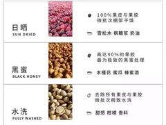 -Seesaw Coffee(苏州中心店)